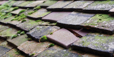 Quarrendon roof repair costs